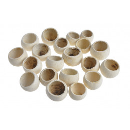 Bell cup mini wash 20szt-paczka..2,5-4cm  - susz