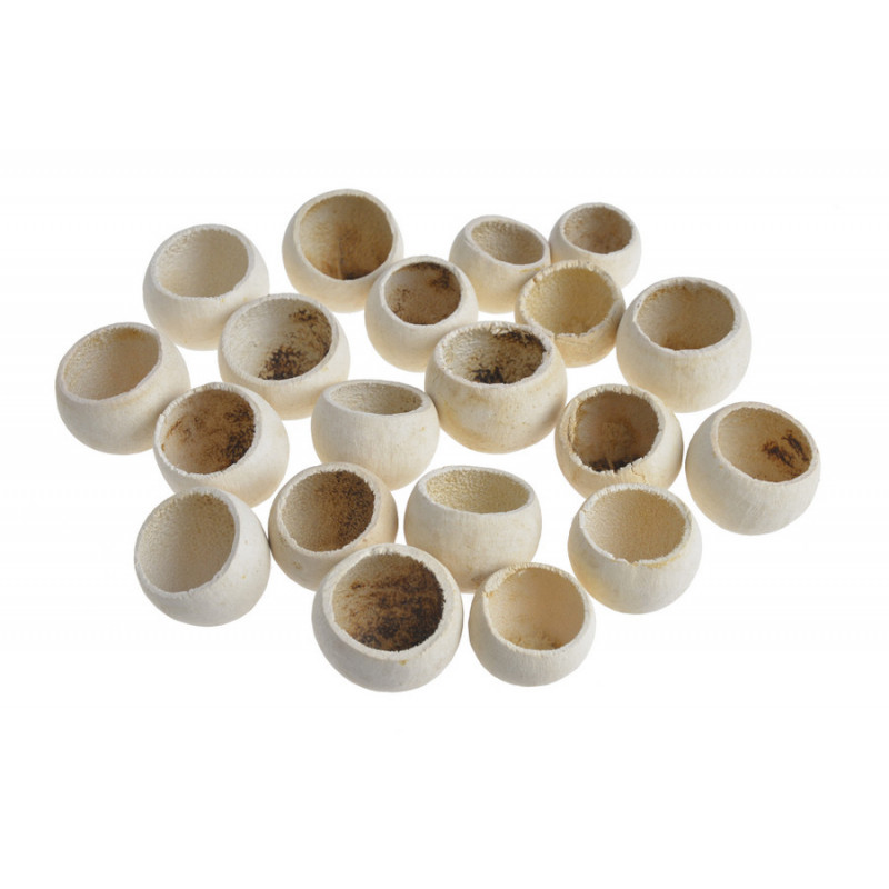 Bell cup mini wash 20szt-paczka..2,5-4cm  - susz