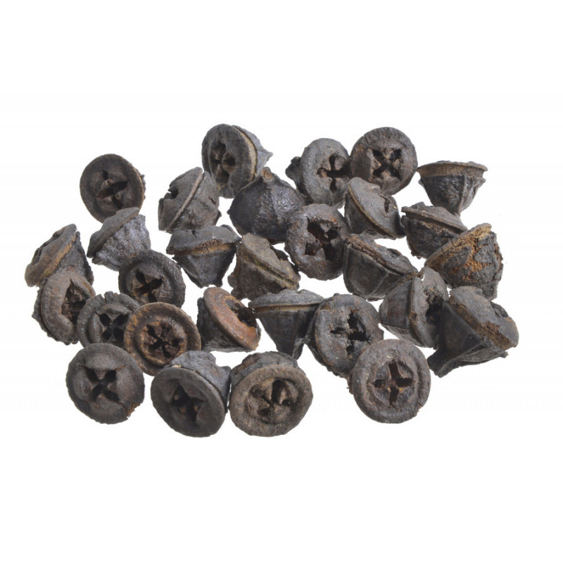 Eucalyptus pod 200g-pacz..1,5-2,5cm