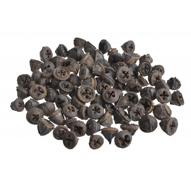 Eucalyptus pod 200g-pacz..1,5-2,5cm