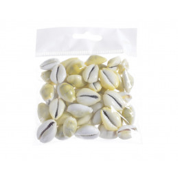 Muszle Cyprea moneta LUX (100g)_2,5-3cm