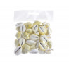 Muszle Cyprea moneta LUX (100g)_2,5-3cm