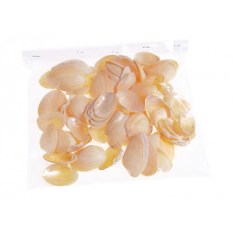 Gold chippi-paczka 250g-muszle_3,5-5cm 