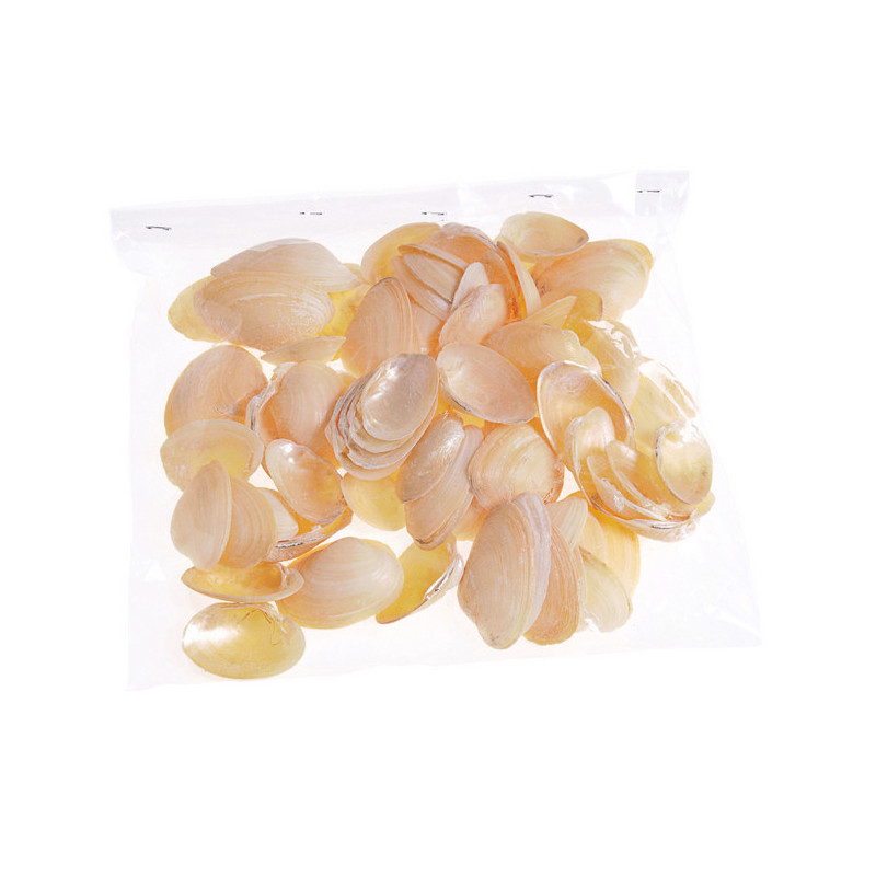 Gold chippi-paczka 250g-muszle_3,5-5cm 