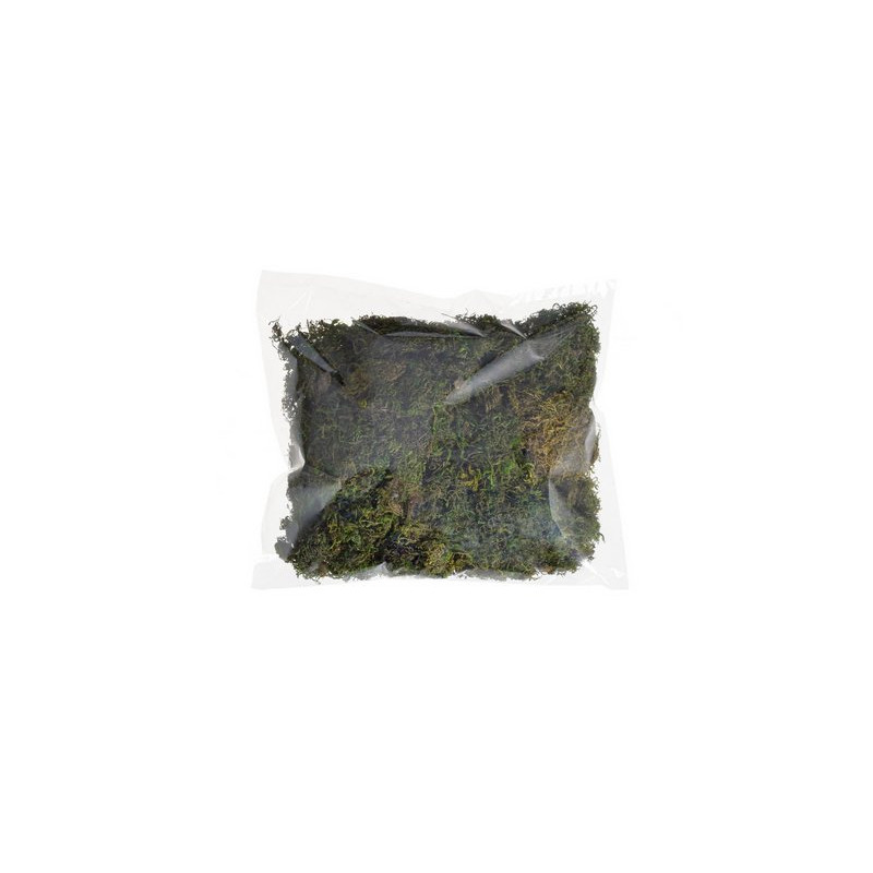 Mech stabilizowany Flat moss..100g