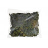 Mech stabilizowany Flat moss..100g