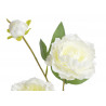Piwonia 3+1 75cm - sztuczna roślina