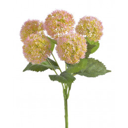 Czosnek ozdobny x3..45cm