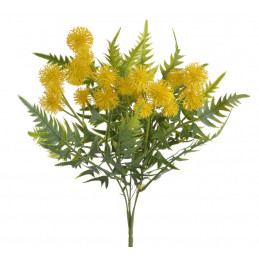 Rącznik pospolity bukiecik ..33cm