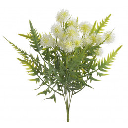 Rącznik pospolity bukiecik ..33cm