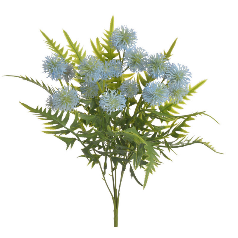 Rącznik pospolity bukiecik ..33cm