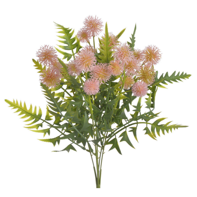 Rącznik pospolity bukiecik ..33cm