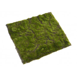 Mata z mchu 40x40cm - art. dekoracyjny