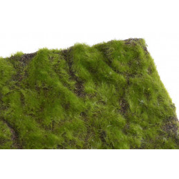 Mata z mchu 40x40cm - art. dekoracyjny