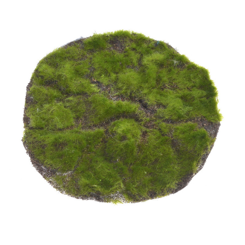 Mata okrągła z mchu 35cm