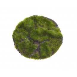 Mata okrągła z mchu 20cm