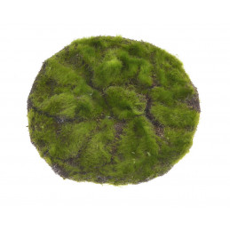 Mata okrągła z mchu 25cm