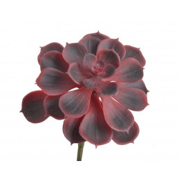 Eonium ..15cm - sztuczna roślina