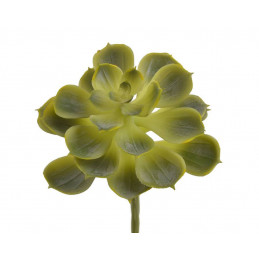 Eonium ..15cm - sztuczna roślina
