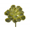 Eonium ..15cm - sztuczna roślina