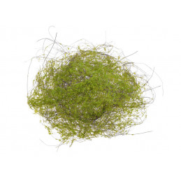 Mata okrągła z mchu 20cm