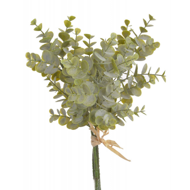 Eukaliptus 3szt/pęczek..35cm