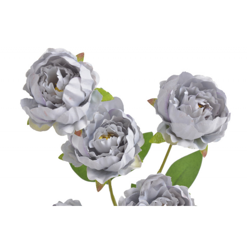 Piwonia chińska x7 gałązka..72cmH