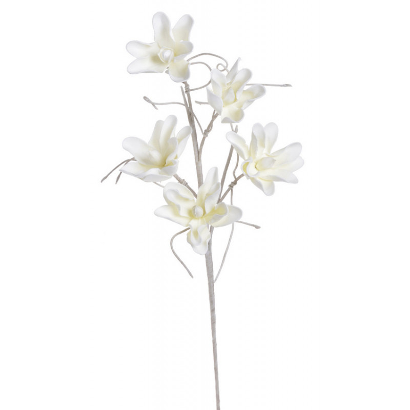 Magnolia x5 103 cm - kwiat piankowy