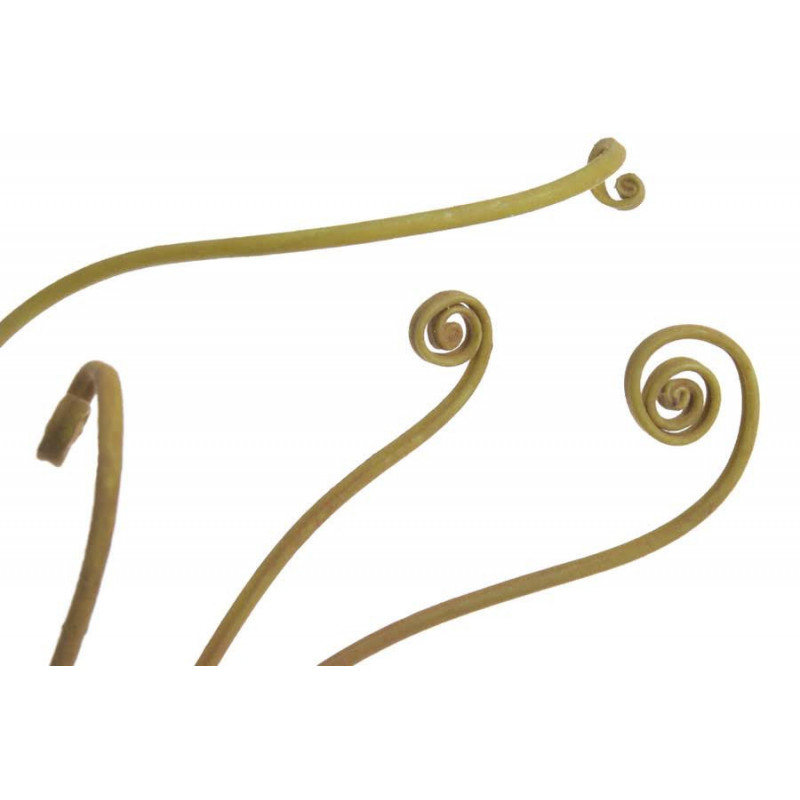 Młoda paproć..63cm - sztuczna roślina