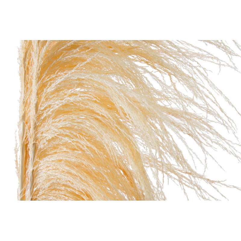 Uwa stalk wyb.-susz..210cmL - susz