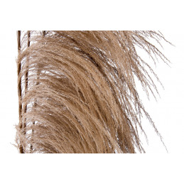 Uwa stalk nat-susz..210cmL - susz