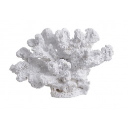 Koralowiec..14cmL x 9cmW x 8,9cmH