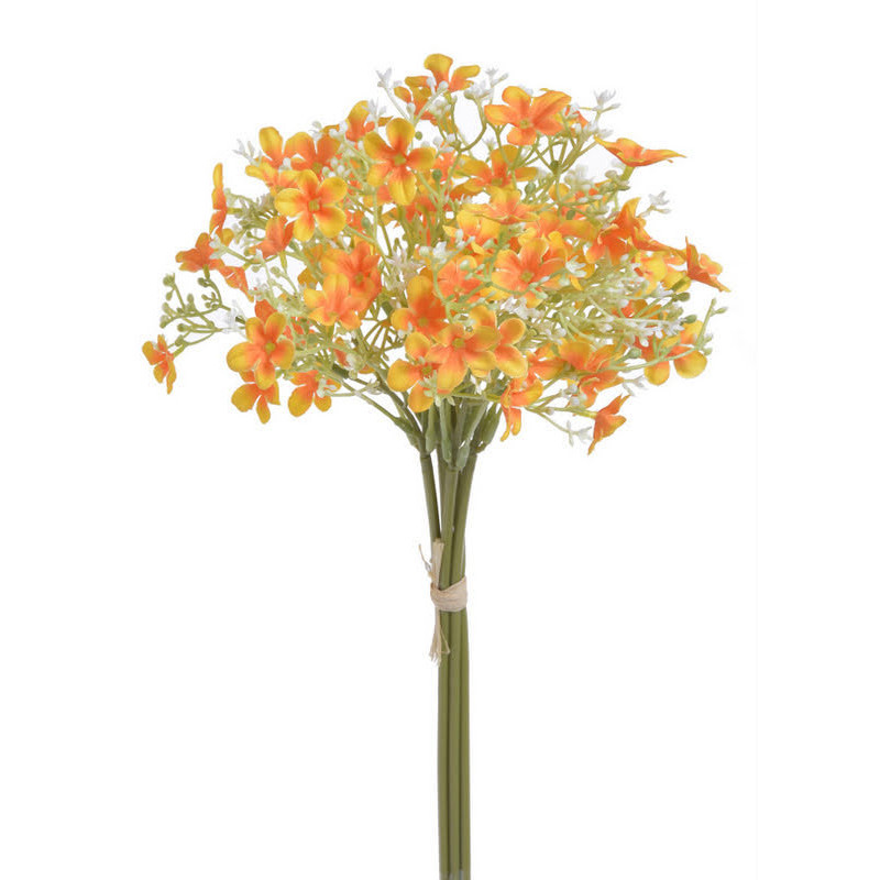 Pieęciornik krzewiasty 5szt/pęczek..30cm