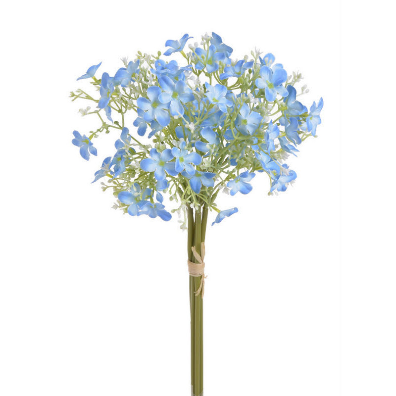 Pieęciornik krzewiasty 5szt/pęczek..30cm