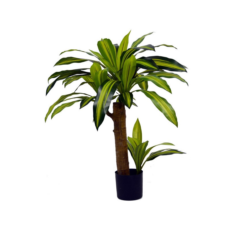 Dracena wonna 80cm w doniczce - sztuczna roślina
