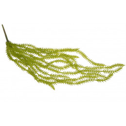 Grubosz widełkowaty wiszący..68cm - sztuczna roślina