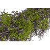 Wianek z mchem..75cm GREEN