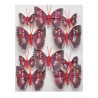 Motyl 12cm z klipem 12szt/kpl