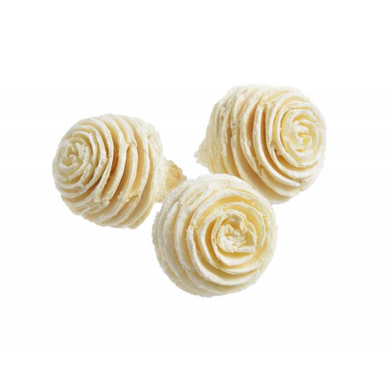 Platyspermum wybielane..5-8cm (+-38pcs-kg)  -susz roślinny