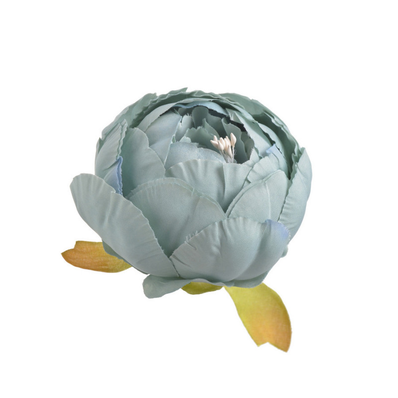 Piwonia główka...7 cm... 6szt/paczka