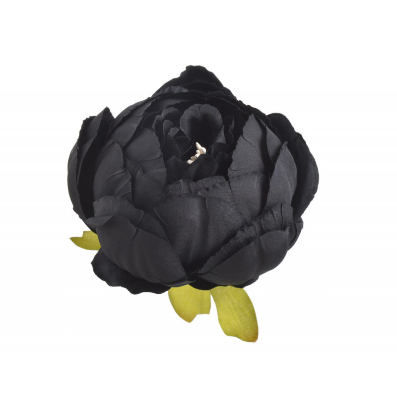 Piwonia główka...7 cm... 6szt/paczka