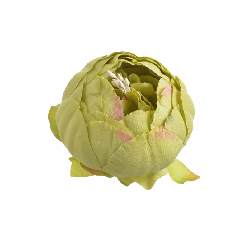 Piwonia główka...7 cm... 6szt/paczka