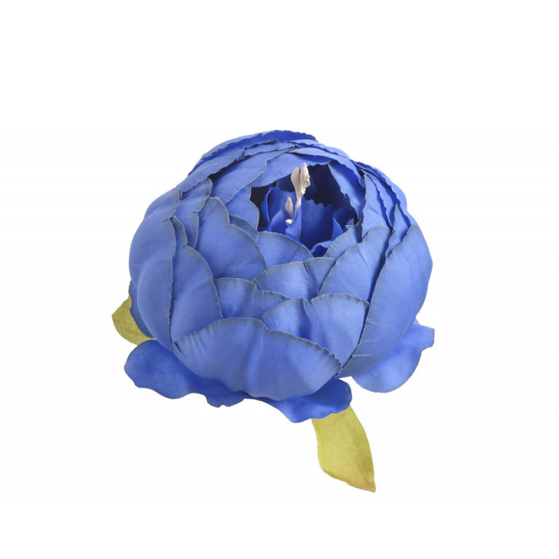 Piwonia główka...7 cm... 6szt/paczka