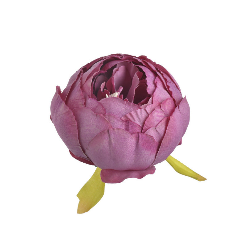 Piwonia główka...7 cm... 6szt/paczka