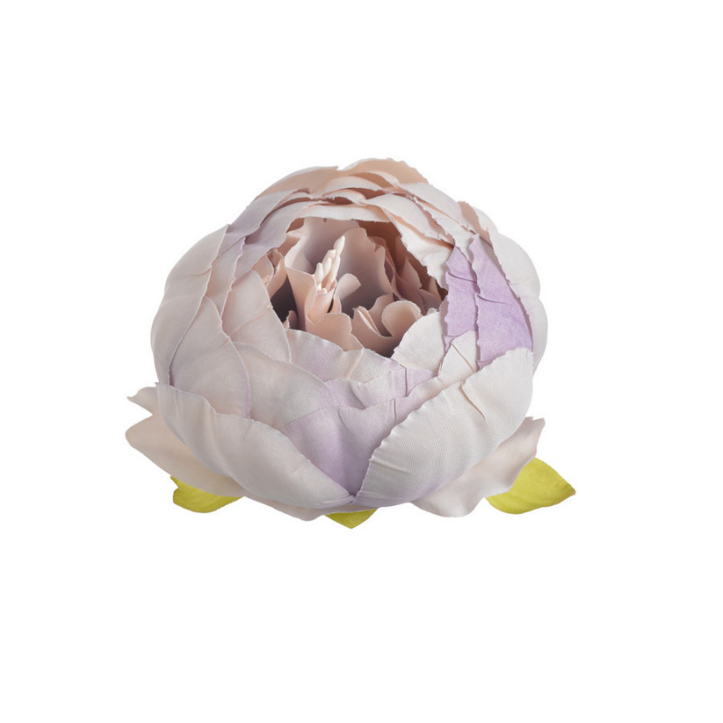 Piwonia główka...7 cm... 6szt/paczka