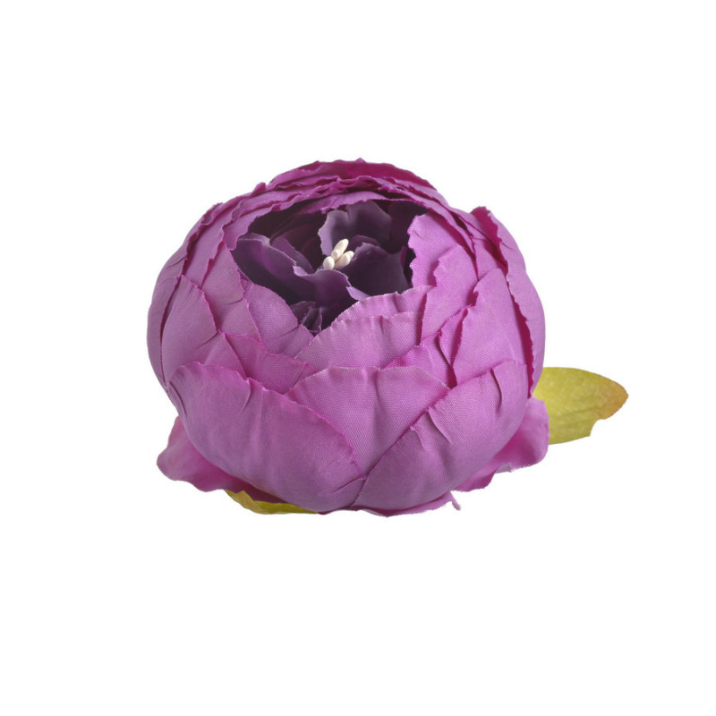 Piwonia główka...7 cm... 6szt/paczka