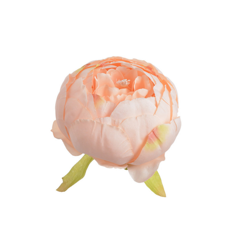 Piwonia główka...7 cm... 6szt/paczka