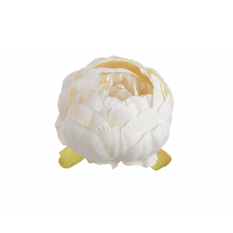 Piwonia główka...7 cm... 6szt/paczka