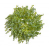 Wianek eukaliptusa duży 40 cm - sztucz.rośl.