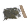 Stabilizowane gałązki cyprysa -  Cypressus 50g-paczka  - susz preparowany
